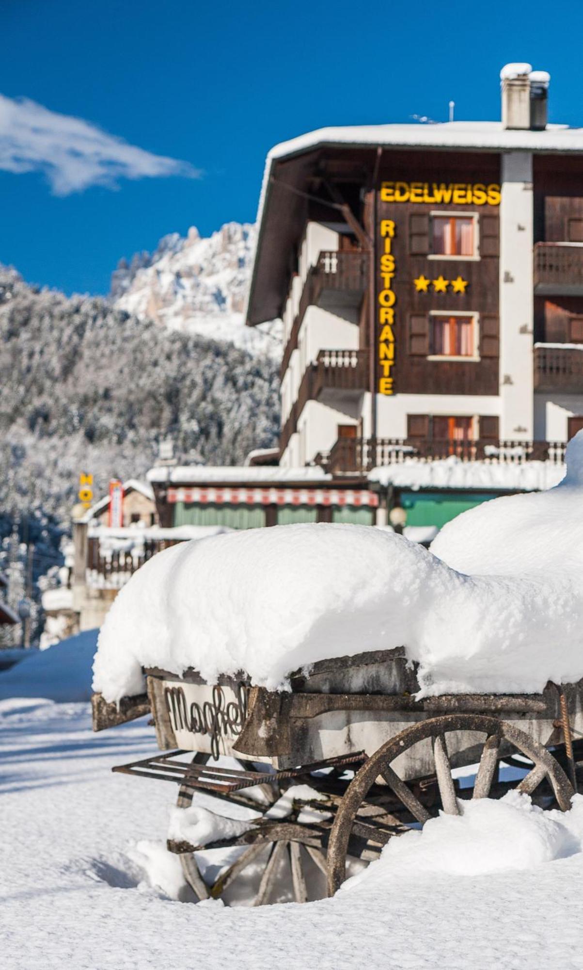 Hotel Edelweiss Con Ristorante Note Di Gusto Форни-ди-Сопра Экстерьер фото